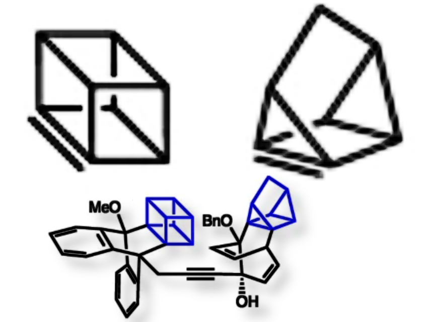 Hyperpyramidalized Alkenes As Synthetic Building Blocks