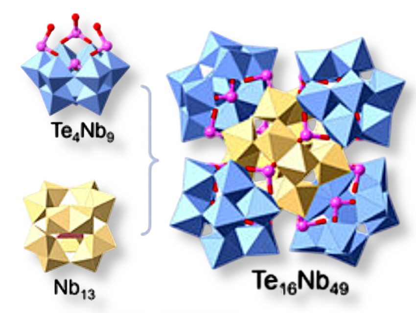 Tellurium-Templated Assembly Opens New Pathways in Polyoxoniobate Chemistry