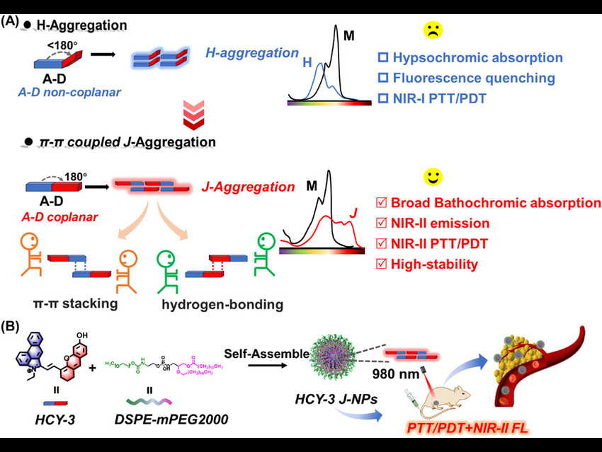 π–π-Coupled J-Aggregates Enable Stable NIR-II Imaging and Multimodal Cancer Ther