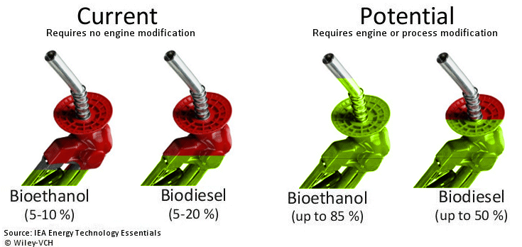 Possible biofuel-gasoline blends