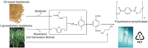 New route to sustainable PET