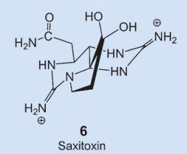 Saxitoxin structure