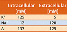 Ion concentrations on the inside and outside of a cell membrane