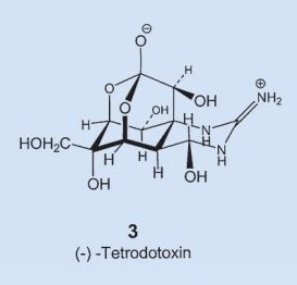 Tetrodotoxin structure