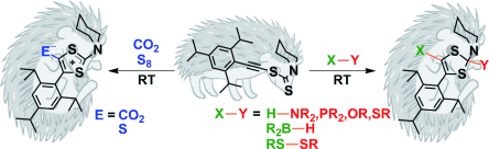 Bond Cleavage with ethynyl dithiocarbamate