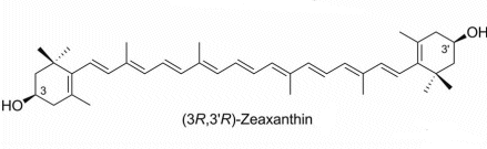 Longest carotenoid made by metathesis