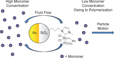 Scheme polymerization microspider