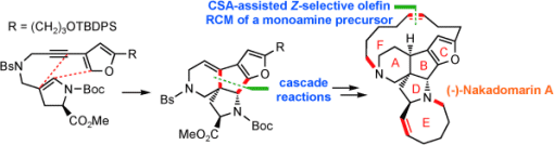 Nakadomarin A synthesis