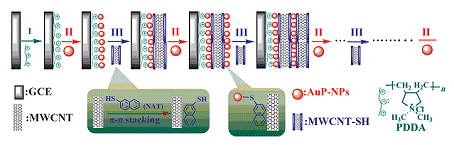 Electrochemical Hydrazine Sensors