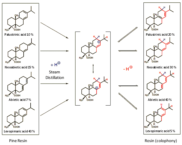 Chemical constituents of rosin