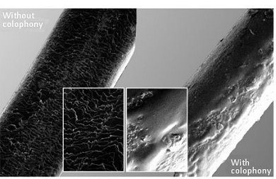 Bow hairs before and after treatment with rosin