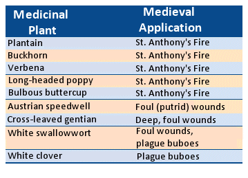 Herbs identified in the altar representation of St. Anthony’s visit to St. Paul in the wilderness