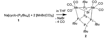 New binding mode in P-rich complex