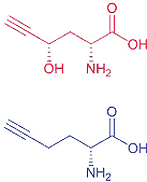 Toxic mushroom amino acids