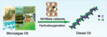 Converting algae to biodiesel with Ni catalyst