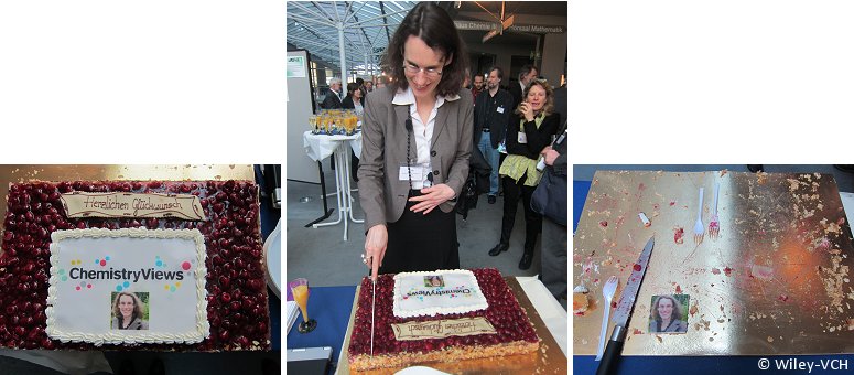 ChemistryViews-themed cake at Chemiedozententagung, Freiburg, 2012