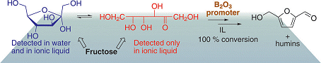 Detection of fructose forms in ionic liquids