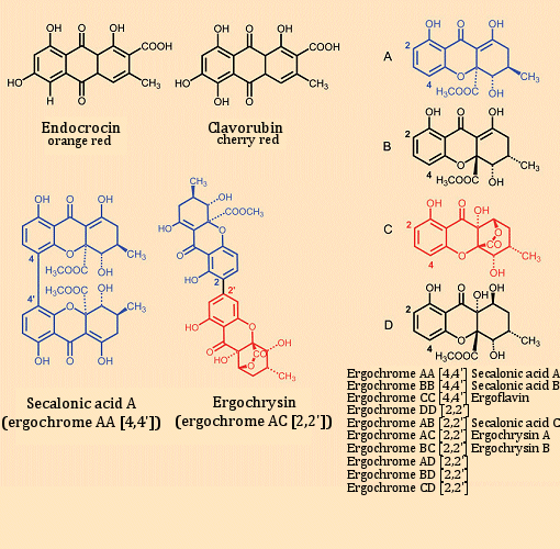 Pigments in ergot