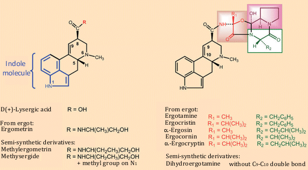 The alkaloids of ergot