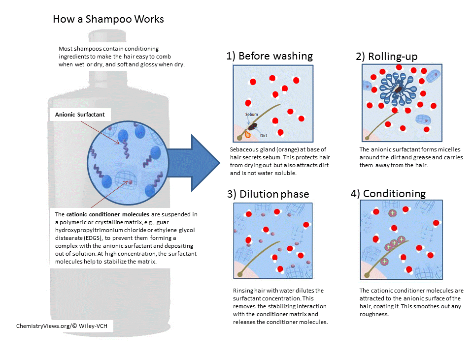 7. The Science Behind Blue Shampoo and How It Works - wide 4