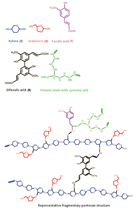 Representative model of a pentosan