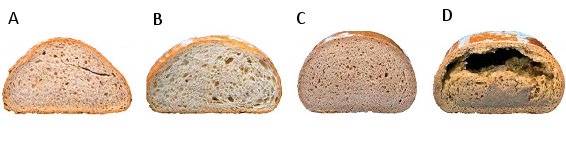 Bread mistakes, and their causes