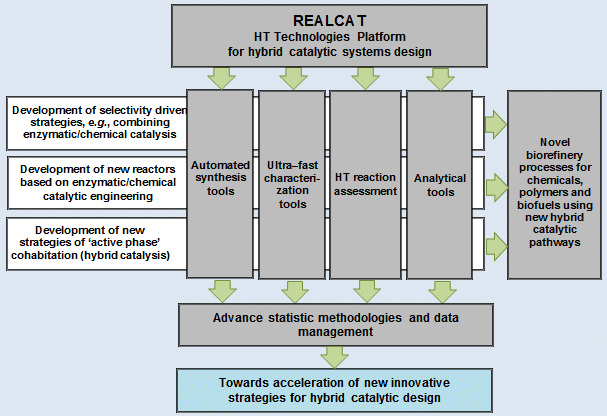 REALCAT conceptual scheme