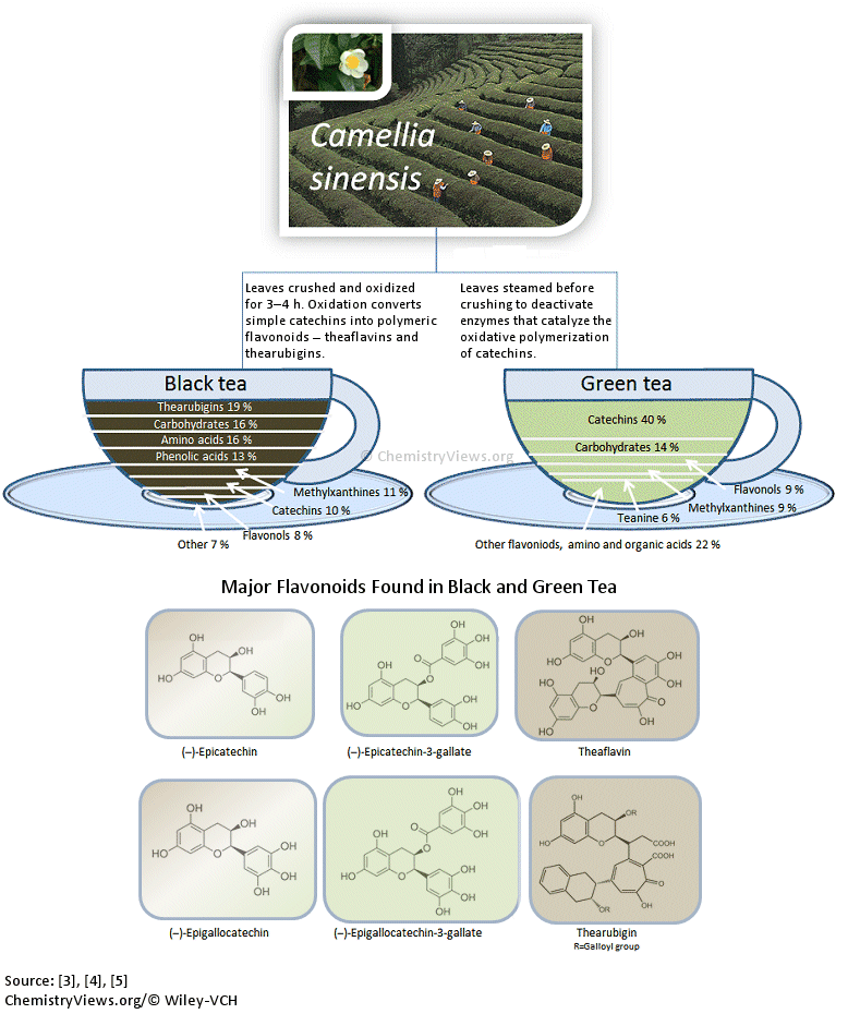 How do green and black teas differ? ChemistryViews.org