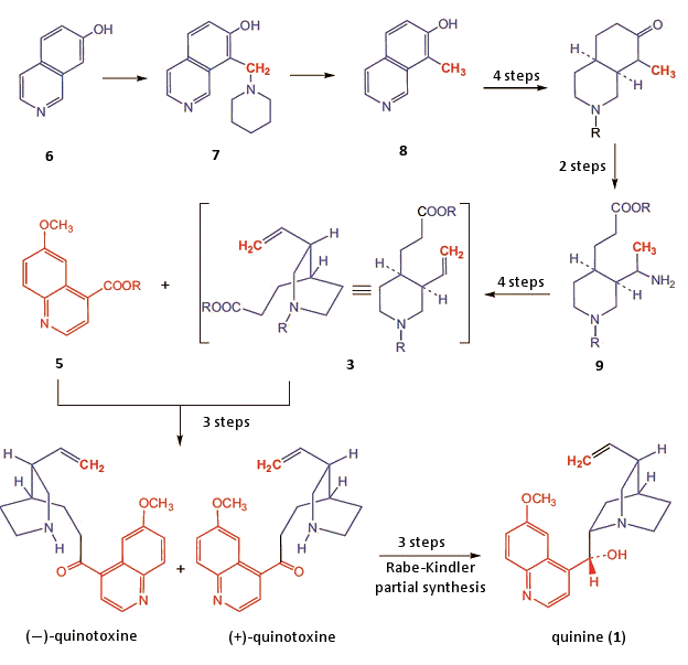 The Woodward and Doering (formal) total synthesis of quinine.