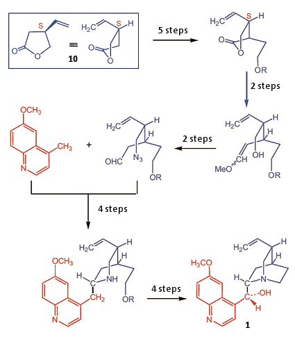 Stereocontrolled total synthesis by Stork, et al. (2001)