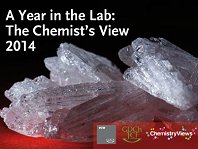 A Year in the Lab: The Chemist's View 2014 - Calendar