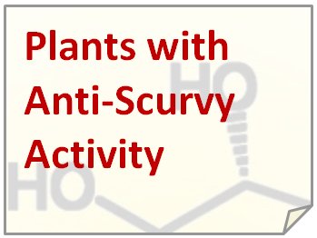 Plants with Anti-Scurvy Activity