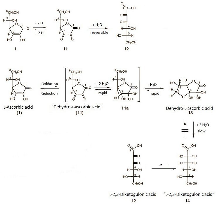 l ascorbic acid structure