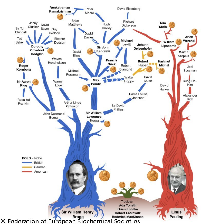 Crystallographers Family tree FEBS Journal