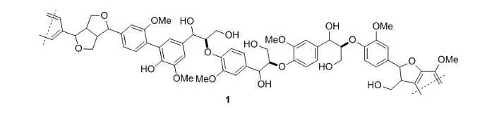 lignin