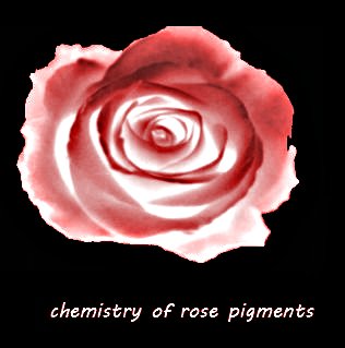 chemistry of rose picments, chemistry and valentine's day