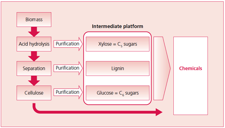 Stora Enso’s biorefinery process