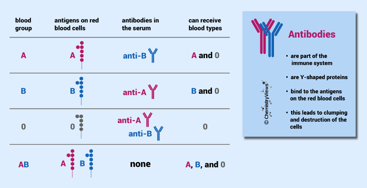 Transfusions