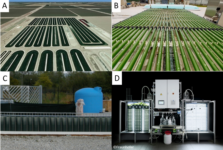 Different reactor systems for algae cultivation