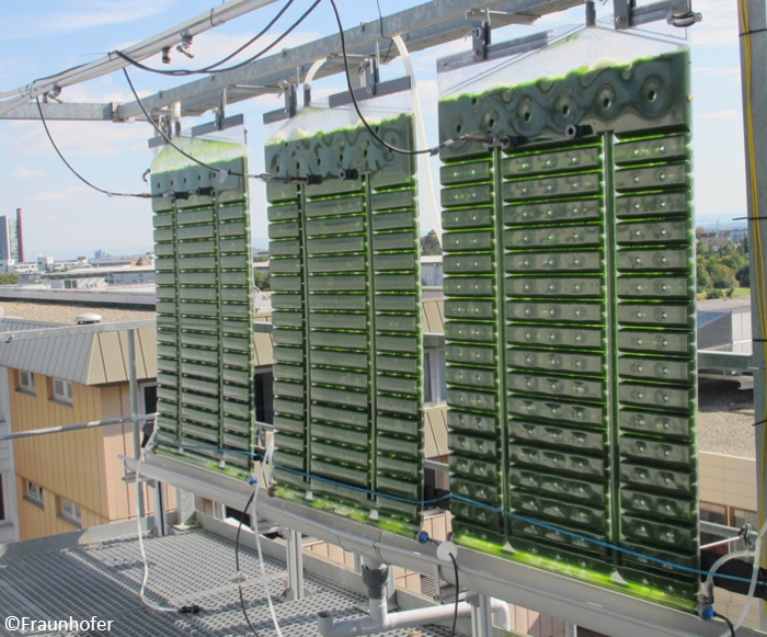 Outdoor research plant with flat panel airlift reactors