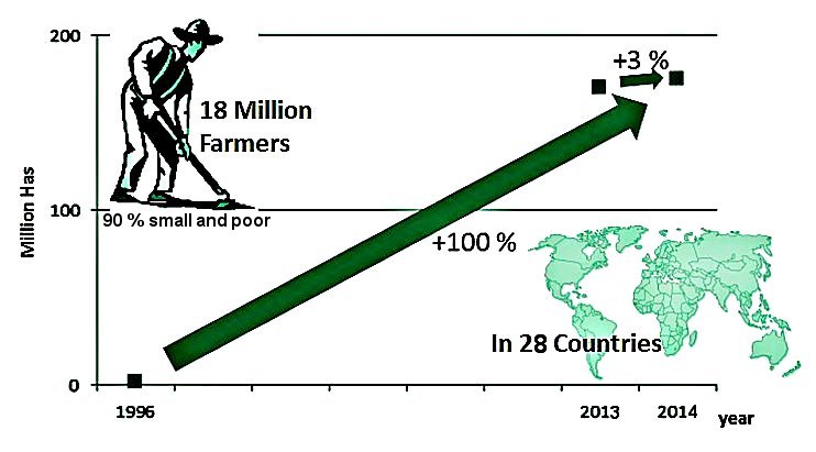 Total Increase of Biotech Crops Worldwide