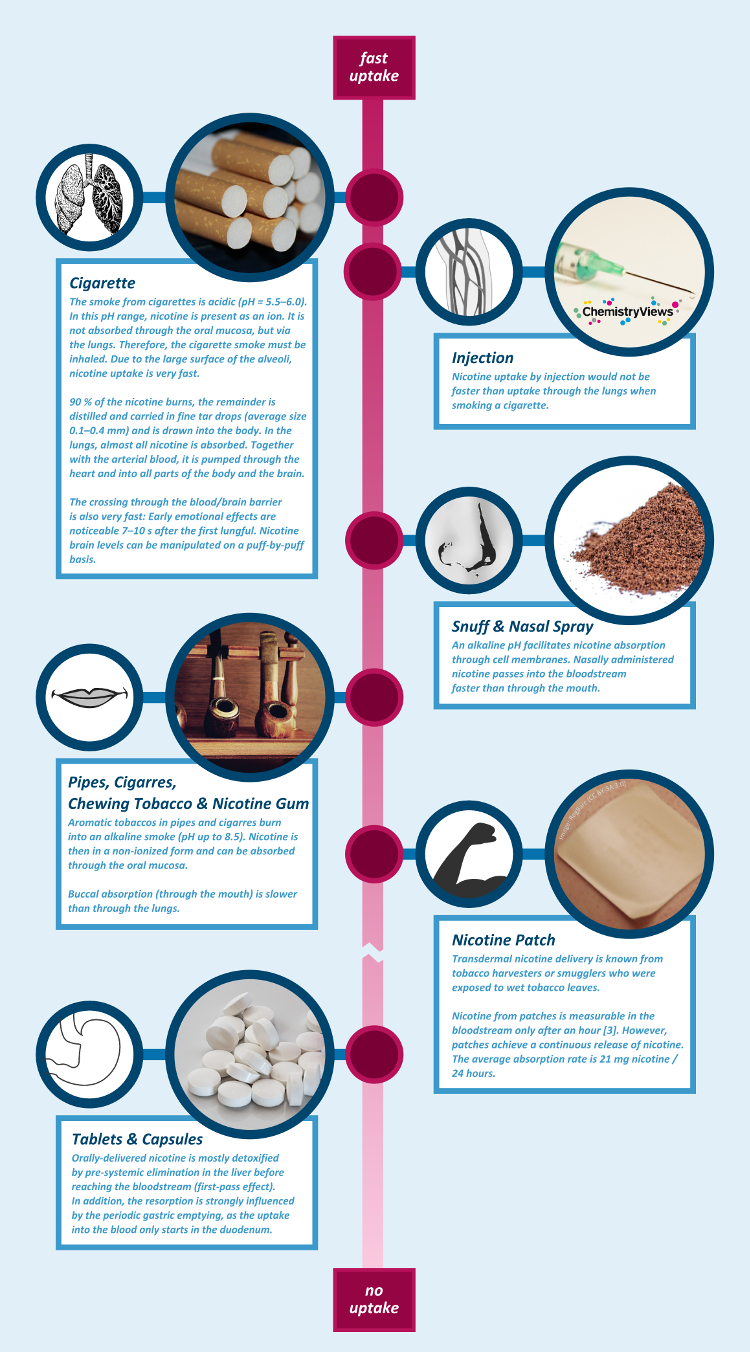 Nicotine Uptake