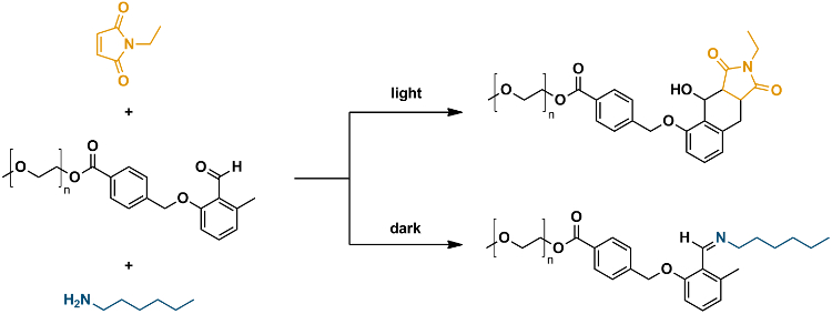 Light-Controlled Reaction