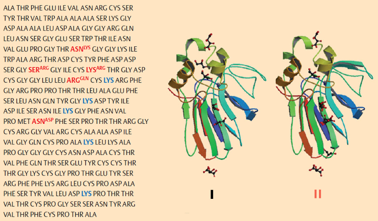 Structure of thaumatins I and II