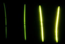 Glow sticks