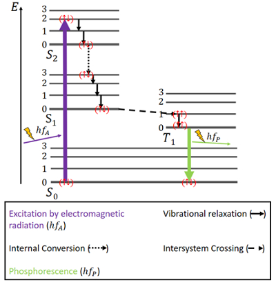 Jablonski diagram for phosphorescence