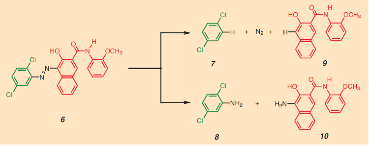 Radical and reductive cleavage of an azo pigment