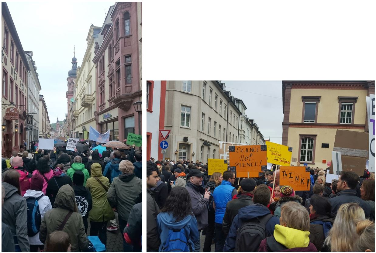 March for Science in Heidelberg