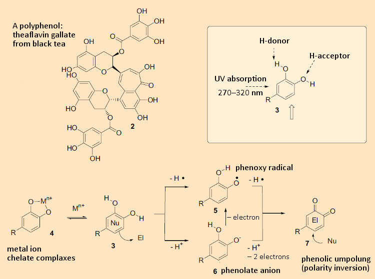 Phenols: structures and reactivity