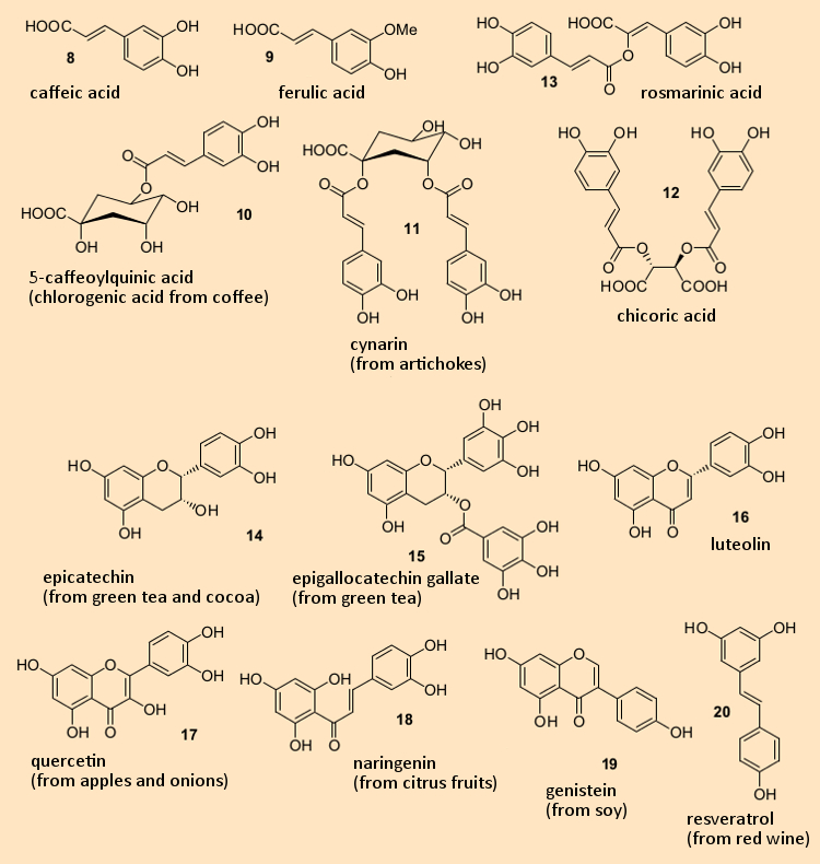 Chemical structures of hydroxycinnamic acid derivatives (8–13) and flavonoids (14–19).